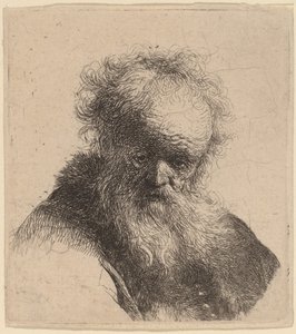 Busto de un Hombre Viejo con Barba Larga y Manga Blanca de Rembrandt van Rijn