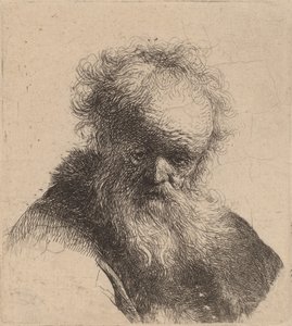 Busto de un anciano con barba larga y manga blanca, c. 1630 de Rembrandt van Rijn