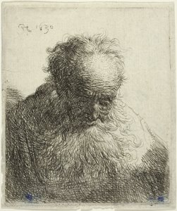 Busto de un Hombre Viejo con Barba Fluyente: La Cabeza Inclinada Hacia Adelante: Hombro Izquierdo Sin Sombrear de Rembrandt van Rijn