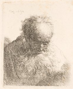 Busto de un anciano con barba larga: la cabeza inclinada hacia delante; el hombro izquierdo sin sombrear de Rembrandt van Rijn