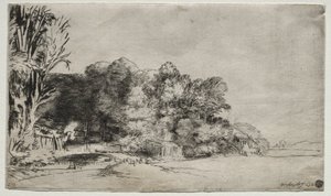 Grupo de árboles con una vista de Rembrandt van Rijn