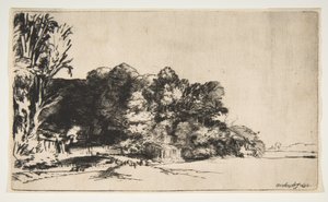 Grupo de árboles con una vista, 1652