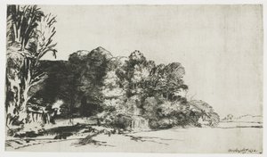 Un grupo de árboles con una vista de Rembrandt van Rijn