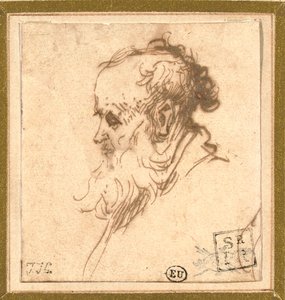 Cabeza de un hombre barbudo de perfil a la izquierda de Rembrandt van Rijn