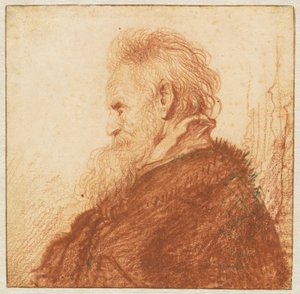 Cabeza de un anciano (recto) de Rembrandt van Rijn