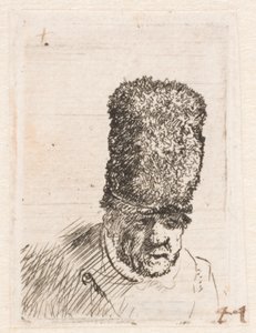 Cabeza de un viejo con un gorro de piel alto de Rembrandt van Rijn