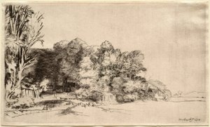 Paisaje con un grupo de árboles de Rembrandt van Rijn