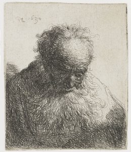 Anciano con barba poblada, el hombro izquierdo sin sombrear
Busto de anciano con barba poblada: la cabeza inclinada hacia delante: hombro izquierdo sin sombrear de Rembrandt van Rijn