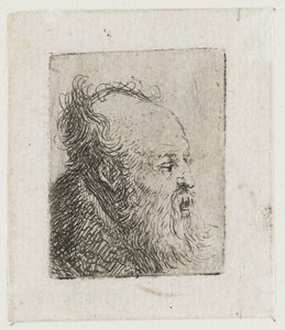 Un anciano barbudo, con la boca entreabierta de Rembrandt van Rijn
