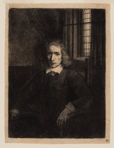 Pieter Haaringh (Joven Haaringh) de Rembrandt van Rijn