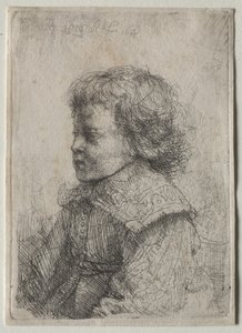 Portrait of a Boy in Profile