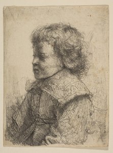 Retrato de un niño, de perfil, 1641 de Rembrandt van Rijn