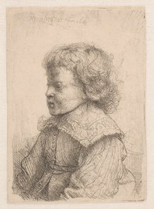 Retrato de un niño, de perfil de Rembrandt van Rijn