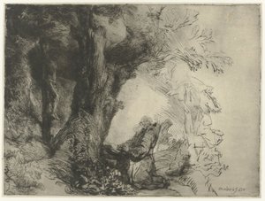 San Francisco bajo un árbol, rezando
San Francisco bajo un árbol rezando de Rembrandt van Rijn