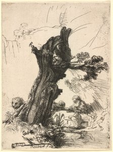 San Jerónimo junto a un sauce de Rembrandt van Rijn