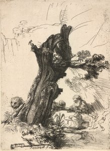 San Jerónimo junto a un sauce trasmocho, 1648
