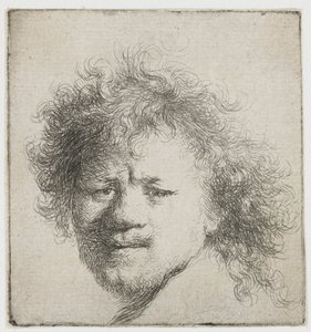 Autorretrato con pelo largo y tupido: sólo la cabeza