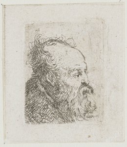 Hoja con estudios de cabezas masculinas: anciano barbudo, casi de perfil hacia la derecha; boca entreabierta de Rembrandt van Rijn