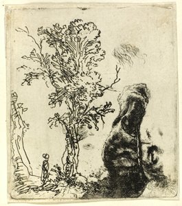 Hoja con dos estudios: un árbol y la parte superior de la cabeza del artista con gorra de terciopelo de Rembrandt van Rijn