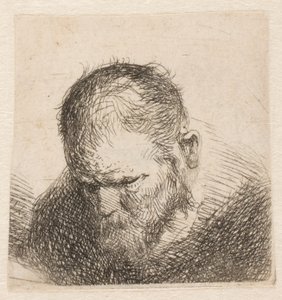 Pequeño busto de un hombre barbudo que mira hacia abajo, con los ojos casi cerrados de Rembrandt van Rijn