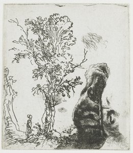 Hoja de estudio con un árbol y la parte superior de la cabeza de Rembrandt con boina de Rembrandt van Rijn