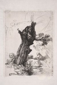 San Jerónimo escribiendo junto al tronco de un sauce de Rembrandt van Rijn