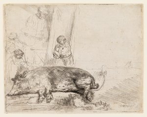 El cerdo de Rembrandt van Rijn