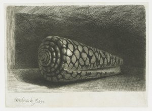 La cáscara de Rembrandt van Rijn