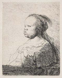 El blanco negro de Rembrandt van Rijn