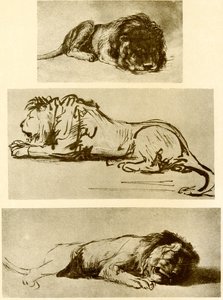 Tres estudios de leones de Rembrandt van Rijn