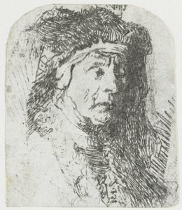 Mujer con manto de pieles
Busto de una anciana con un manto de pieles y un pesado tocado de Rembrandt van Rijn