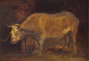 Un buey de pie de Rembrandts skole
