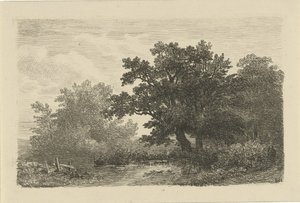 árboles por un charco de Remigius Adrianus Haanen