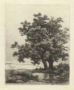 Dos robles en un lago