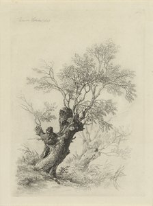 sauce de Remigius Adrianus Haanen