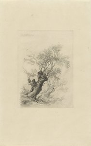 sauce de Remigius Adrianus Haanen