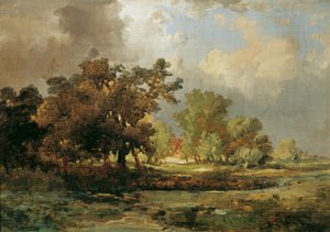 Motiv de Oosterhout en Holanda de Remigius Adrianus van Haanen