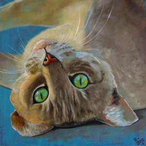 Felicidad de Gato de Renate Dohr