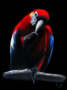 Loro