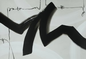 Flujo dinámico de tinta negra de Renate Holzner