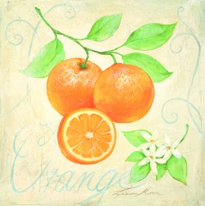 Naranjas frescas y flores de naranjo de Renate Holzner