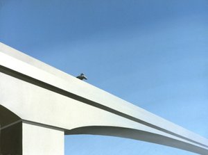 Puente de Rene Boin