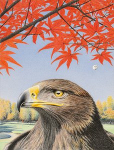 Águila, 2015, Dibujo a lápiz de color sobre papel