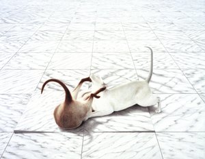 Jugando a