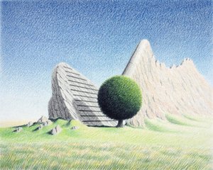Roca de Rene Boin