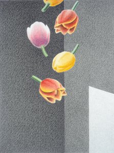 Tulipanes