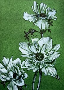 Inquietantes flores verdes