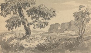 Paisaje con dos árboles y acantilado de Rev. William Gilpin