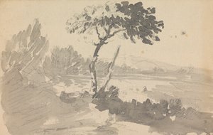 Árbol y lago