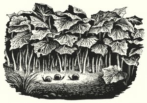 Hans Christian Andersen: La familia feliz